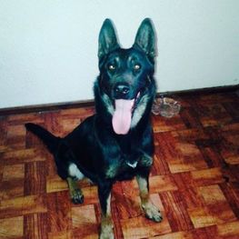 D 5df4e0c8 50c1 4c0f 9a5a 04cc9e52cf61