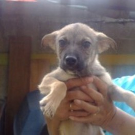 D 6e2afd2f 5ce8 456f b2d7 4e05be4e61a5