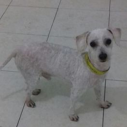 D c0eb8221 a06e 4908 9de5 6a6041e12691