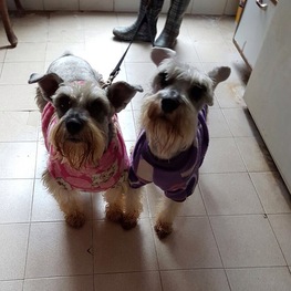 D cc76e230 03cc 4093 89d6 6812f699fed5