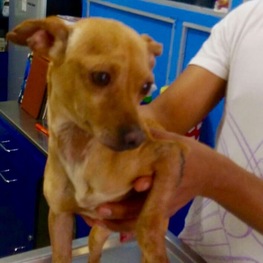 D b1a152c6 46dc 4350 a963 343d69bcb5c7