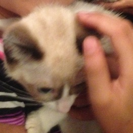 D 85f0eb04 86cf 4aa6 8736 cc91a131d27e