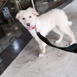 D 9270a091 6a47 48c8 9305 abdd4e74856d