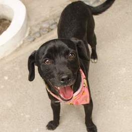 D 8782e018 644c 413b a488 8b75064d627e