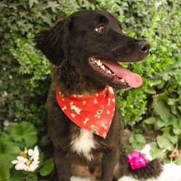 D 563b743f 63f6 49e0 8616 8c6ffb88b951