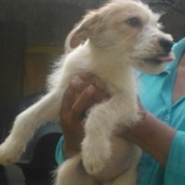 D ced10219 ca4e 4eac bc33 823ffac0f9c7