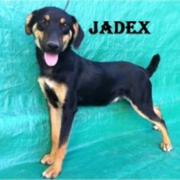 D a753eb47 868b 4736 a0b8 73c43bec7b1e