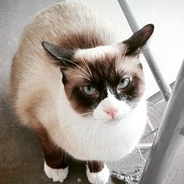 D a23069c3 15a5 4862 ace9 f7873954d848