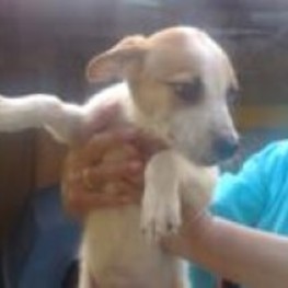 D c4ee3004 617a 4e5f 93dc 58045f66e161