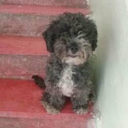 D 78cf7c3a 5eef 4966 b7a2 ba4ab973373f