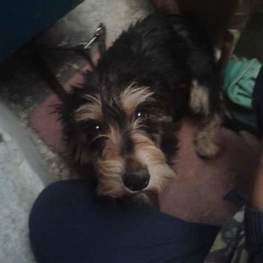 D 76658768 72eb 46f0 a2c5 5c9fd379b89f