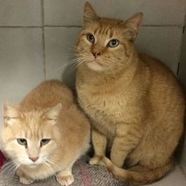 D 495f51fa 192a 40ba ad91 592ca89d8fc5