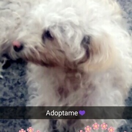 D 1181bbbb 9d98 471b b72b 6b49a5253300