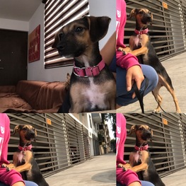 D d4f3f216 e60c 412c b402 02d445b6308f