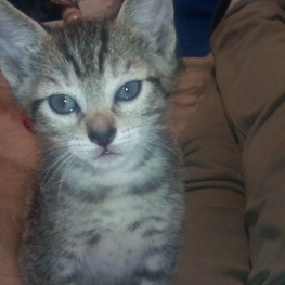 D d47fbab0 a9bd 4ce5 b0a0 6efec8359fb5