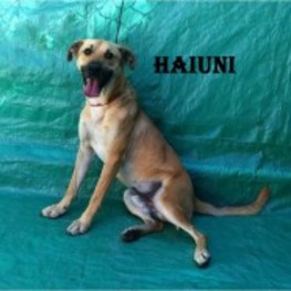 D 9dc21a4e cf6d 4e04 a10f 935b74c31857