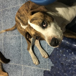 D 72c60e14 a5bf 4e9b 92a2 02e497f3089a