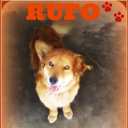 D b87ee051 aab5 4268 b35c 2c3d3c06a370