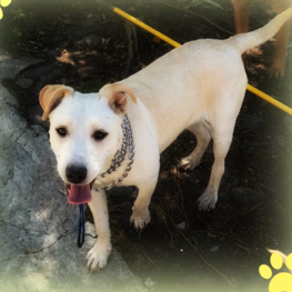 D b8a95e88 f837 40c9 a57a e8a3deb6ac57