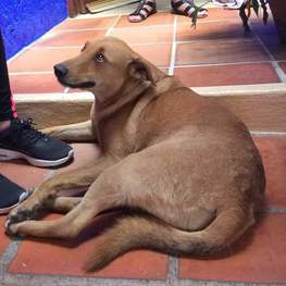 D 5f0b3f8c c7c3 4cde 9c64 ed26b86d0f7e