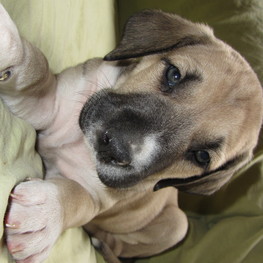 D cf837ef0 c0a2 4cdd a540 0e6eaebdfd09