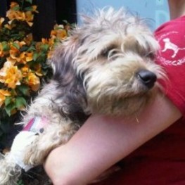 D 6416b7ab 7bbc 42bb 8afc 19da536b997e