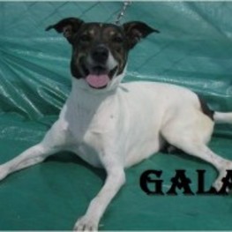 D 91dd7722 db2b 4979 984a ef3244416e34