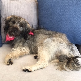 D cc3ea224 0e96 47d1 af7b 8c6a42e97d3f