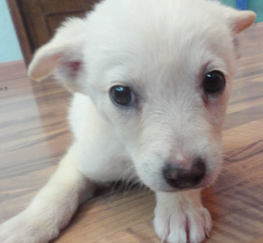 D 3a7fca6d 1409 493d ad0c b97cc1667396