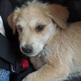 D 253f69ff 56cb 4cce 9f98 e4cbfbb70d3b