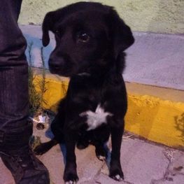 D b604371c 2403 440a b38f cf977d7962fb