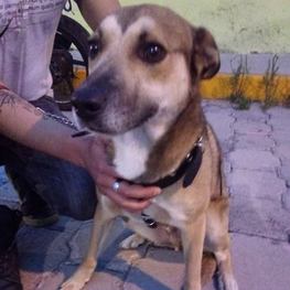 D a4480f70 3ed6 482c a79e 672caf0ab710