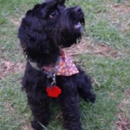 D fd2668df 69ea 4102 8985 cfa019860fb0