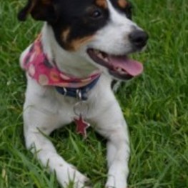 D 83a6b000 7918 4cdc 9a07 32d9f0a8ee43