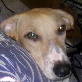 D 45c056d2 d936 43d8 9cf6 e011c60f9656