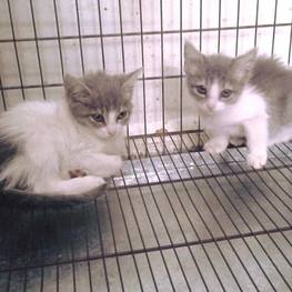 D 24e2365f f061 41bf 9013 f714a02032f2