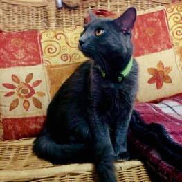 D edbb4057 5f0f 44d6 b18b ec28f76255d9