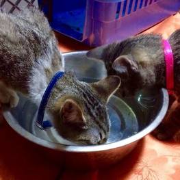 D e1ce7e5a 0ed8 441d 916f ffb8d466149f