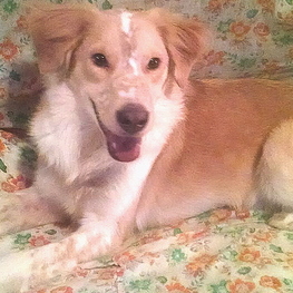 D 03e094fb e7be 4dad 85b1 3484633902f9