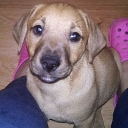 D a49939ab 7861 4cfd 9ec9 056b63fee642