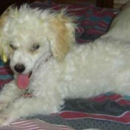 D 64d16cfe fc01 49b8 b1d7 09a63c8af255