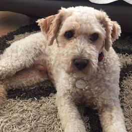 D c2c5fe46 8594 4529 a931 ddf5406ee51d