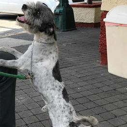 D 81e8f696 e64c 4b6d 9c2f b8578d1dd078