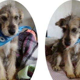 D e257e815 50ce 44f8 a87d 5541cf3166f9