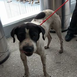 D ee5ba357 ee37 4c12 add1 e305146896ff