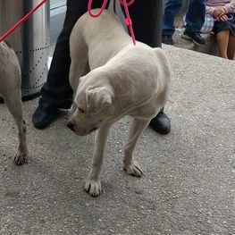 D bb7499a5 31ff 4fac a22e 6eed8eaeeb5a