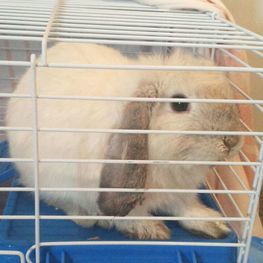 D 03e1f704 c222 4f06 9bd3 634ae79ce6c4