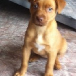 D f8b04dc1 7af2 46b4 a0dc f8243b4549f8