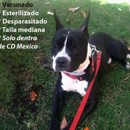 D d6ecd3e5 d5b0 4dea 83ce abdf0d7e1101