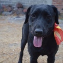 D 54fe40d8 94b8 4290 ad37 21f5c85ce969